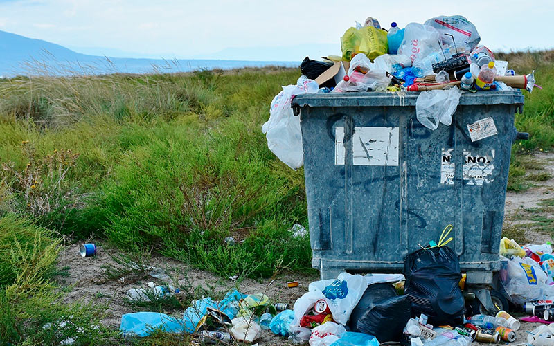 Bioplástico vs plástico reciclado, ¿qué es más ecológico?