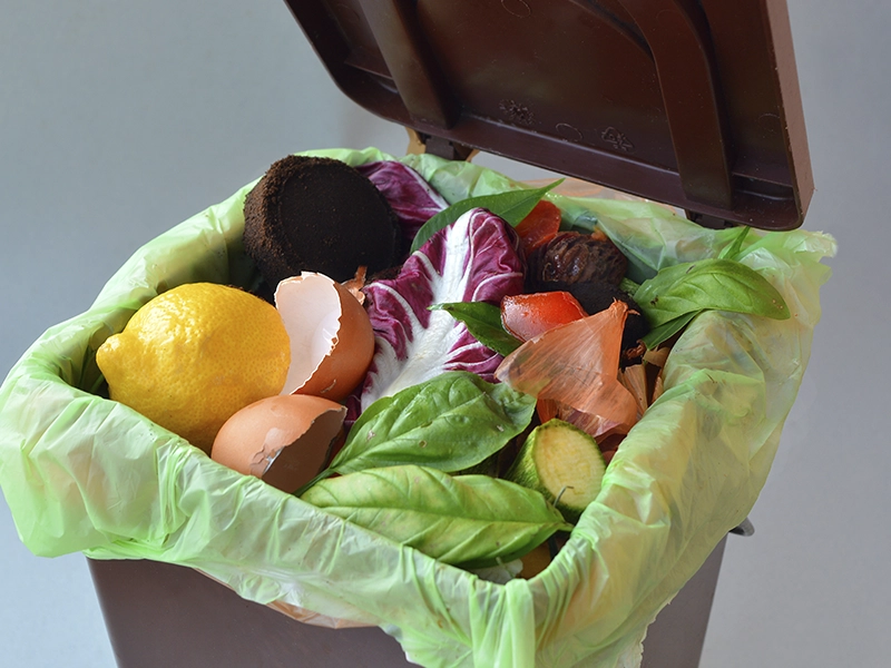 Bolsa-ropa-compostable